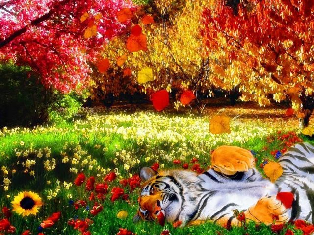 Тигр на траве.