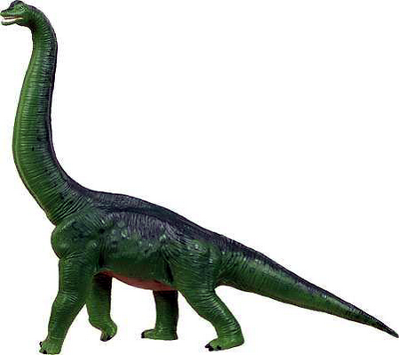 Брахиозавр на белом фоне.