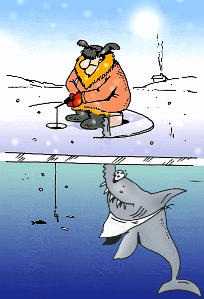 Рыбак и акула.