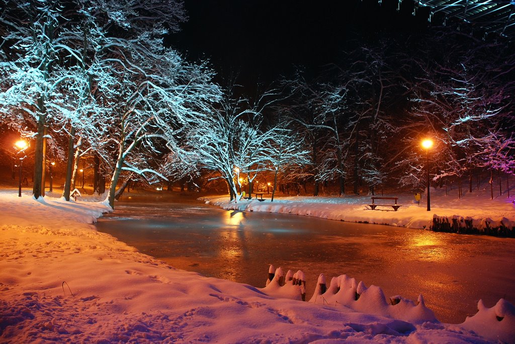 Открытка чудесная зимний вечерний пруд
