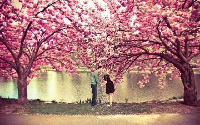 Влюбленная пара, цветущие деревья.