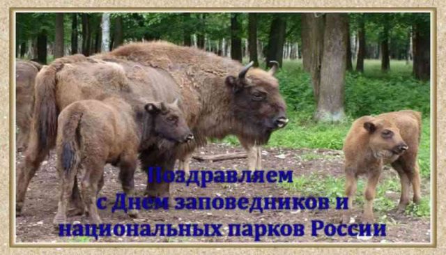 Поздравляем с Днем заповедников и национальных парков России.