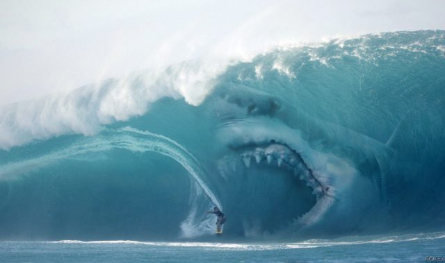 Волна, акула.
