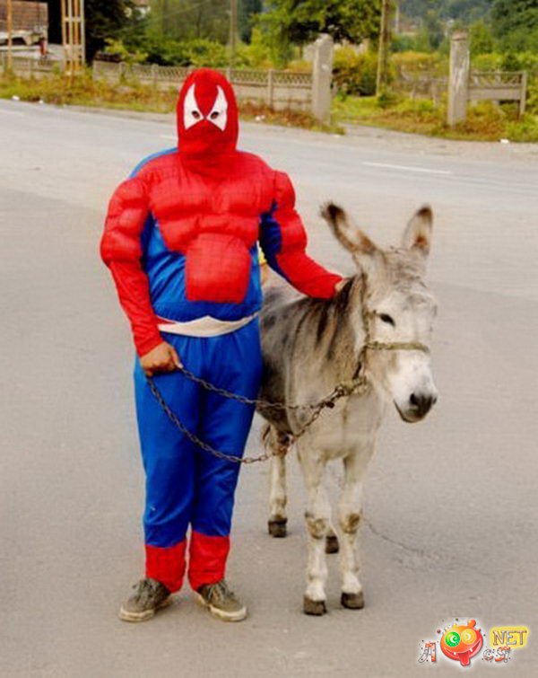 Мальчик в костюме Человека-паука.