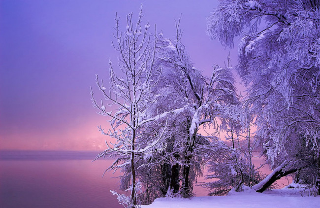Красивая картинка зима