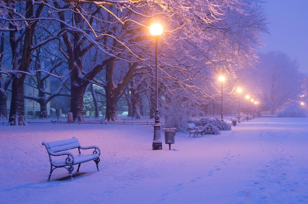 Картинка яркая зимний вечер