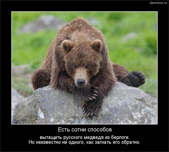 Есть сотни способов вытащить русского медведя из берлоги…