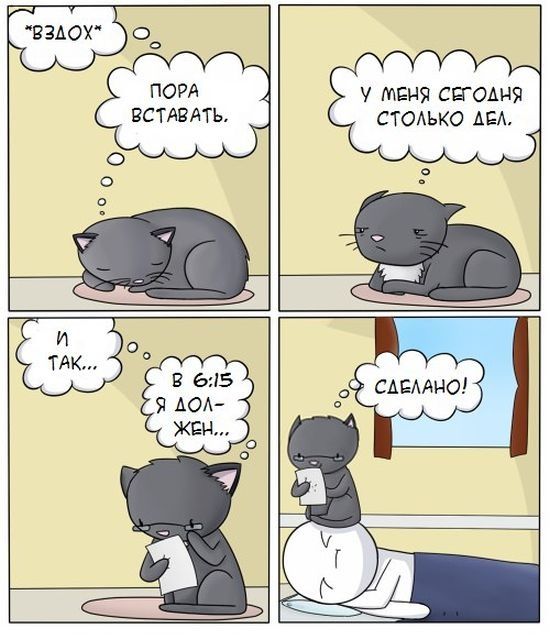 Комикс про кошек.
