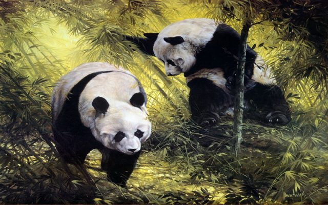 Нарисованные панды.