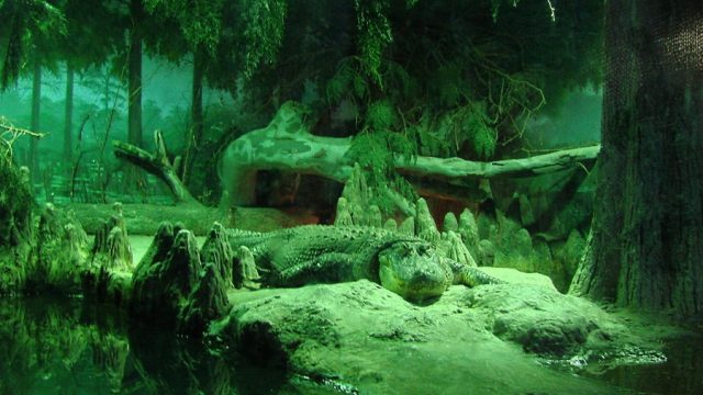 Зеленый крокодил.