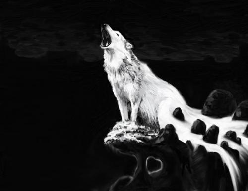 Волк воет на Луну.