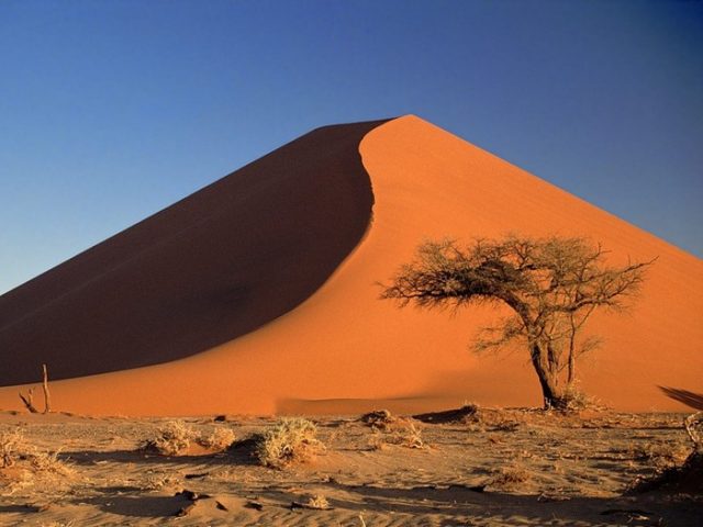 Африканская пустыня.