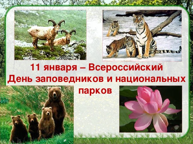 Картинка Всероссийский день заповедников и национальных парков.
