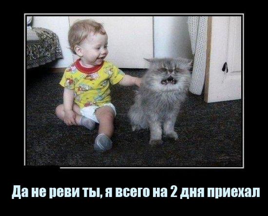 Мальчик и кот.