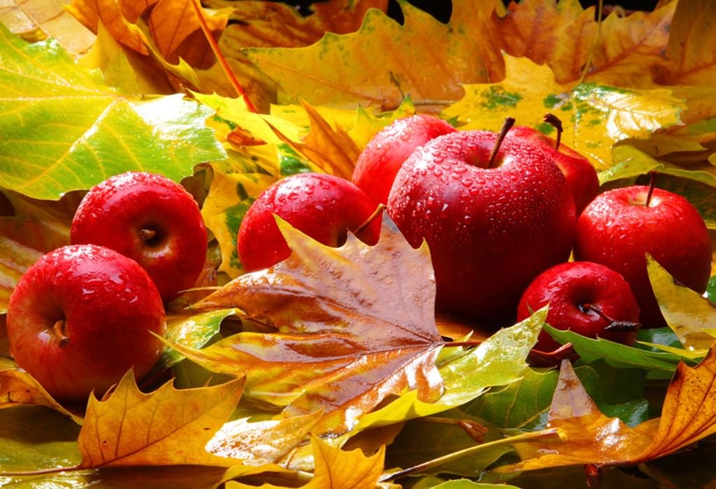 Картинка яркая октябрьские яблочки