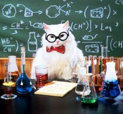 Кот — учитель химии.