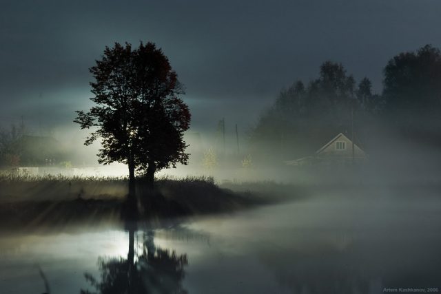 Туман, деревья, дом.