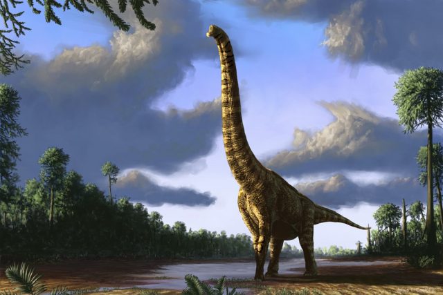 Картинка на заставку брахиозавр.