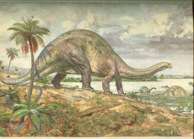 Нарисованная картинка динозавры.