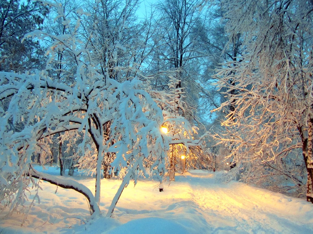 Открытка великолепная зимняя природа вечером