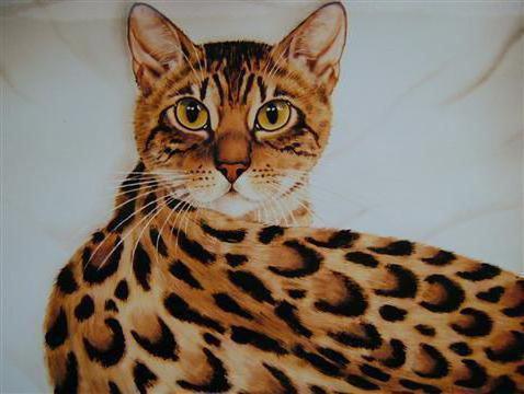 Нарисованный бенгальский кот.