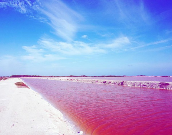 Розовое озеро Австралии.