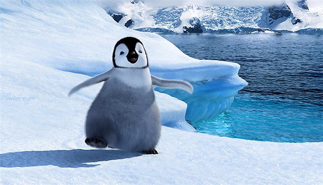 Красивые картинки пингвинов