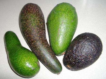 Разные виды авокадо.