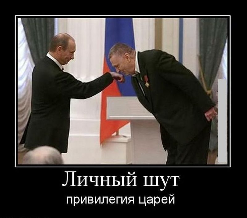 Жириновский целует руку президенту.