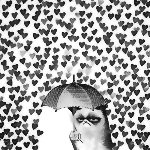 Кот под зонтиком.