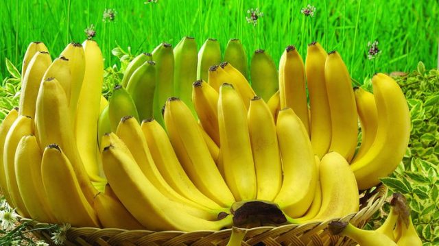 Бананы в корзине.