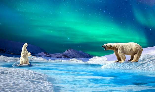 Картинка на заставку Северный полюс.