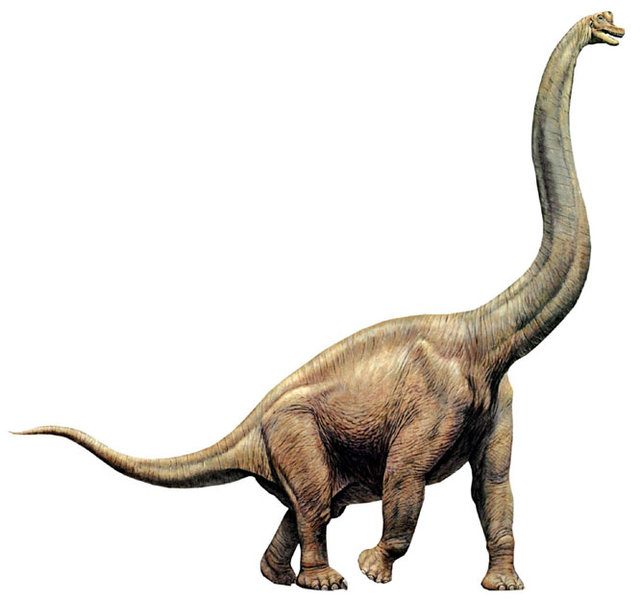 Брахиозавр.