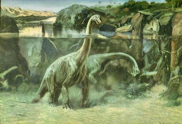 Брахиозавры.