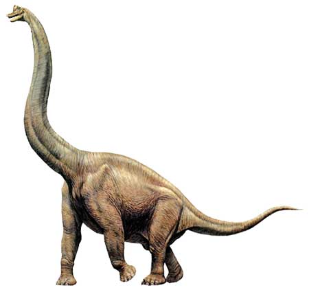 Длинношеий динозавр.
