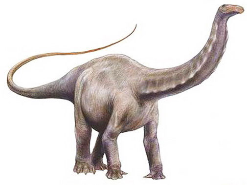 Бронтозавр на белом фоне.