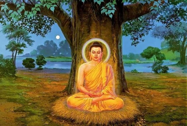 Будда, природа.