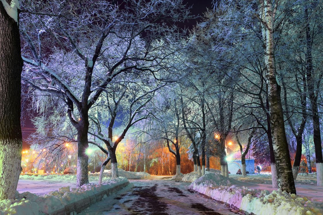 Картинка яркая зимняя природа вечером