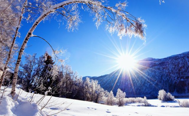 Поздравляем с днем зимнего солнцестояния!