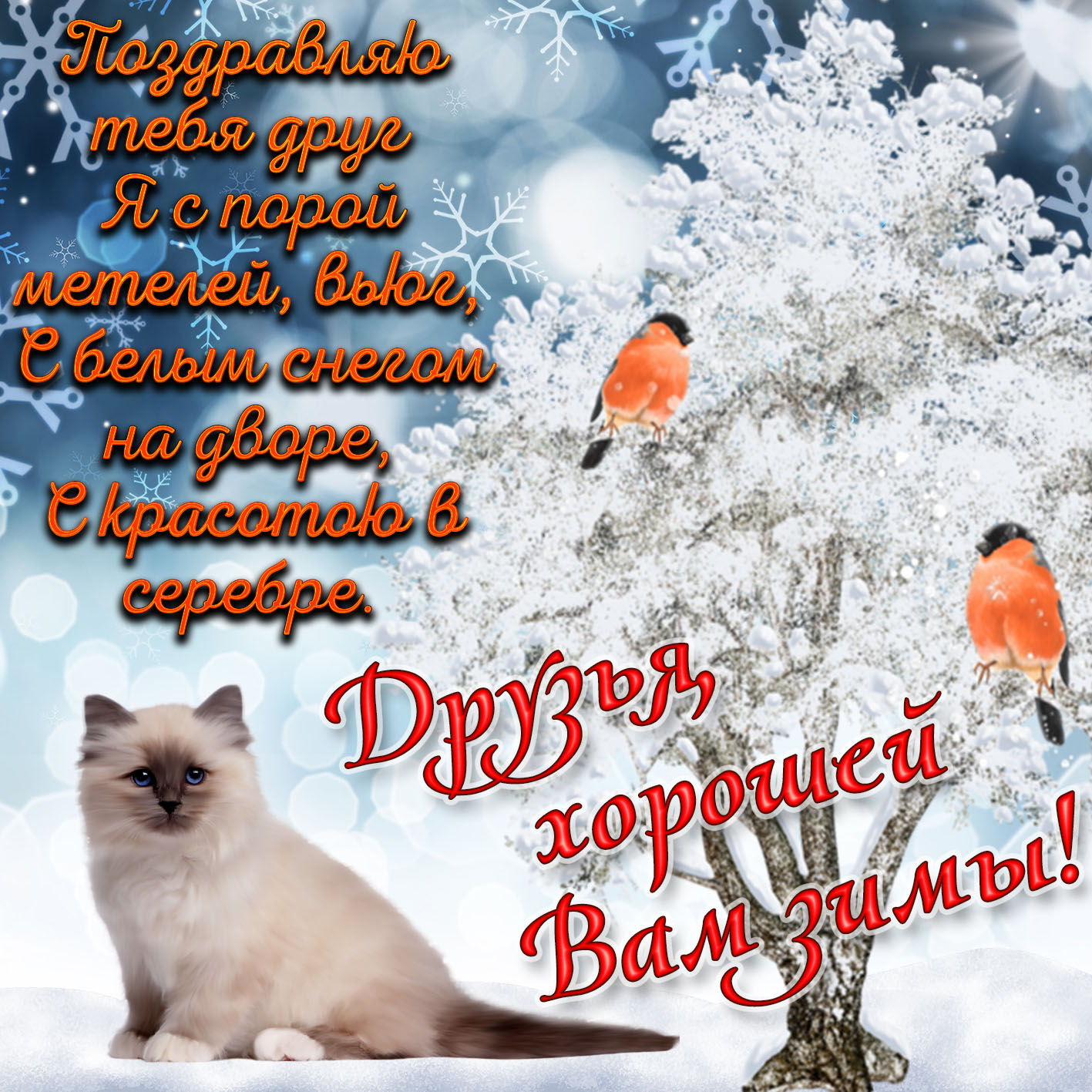 открытка хорошей зимы