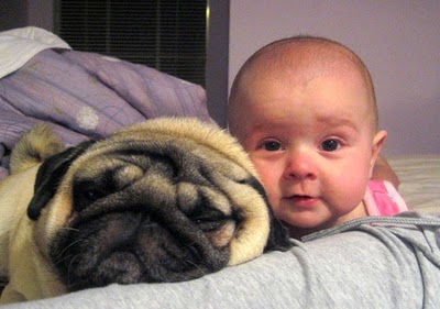 Ребенок и собака.