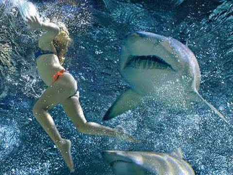 Девушка с акулами в воде.