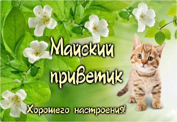 Милая открытка котенок с цветочками