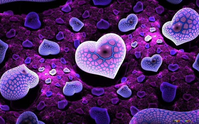 Фиолетовые сердца.