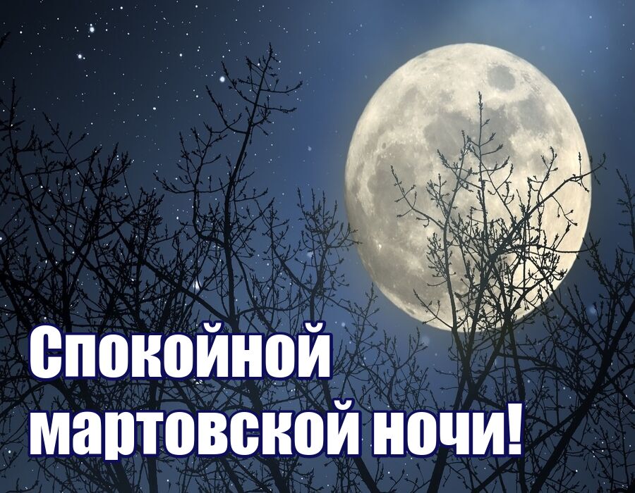 Впр русский чудесны лунные мартовские ночи