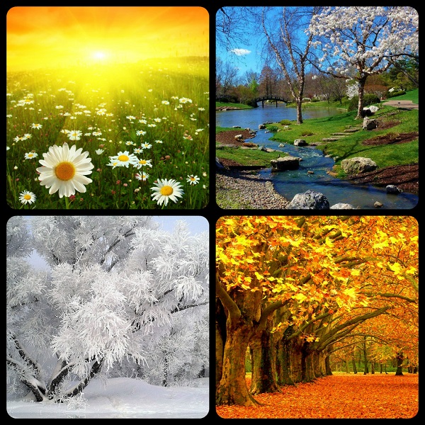 Весна, Лето, Осень, Зима.