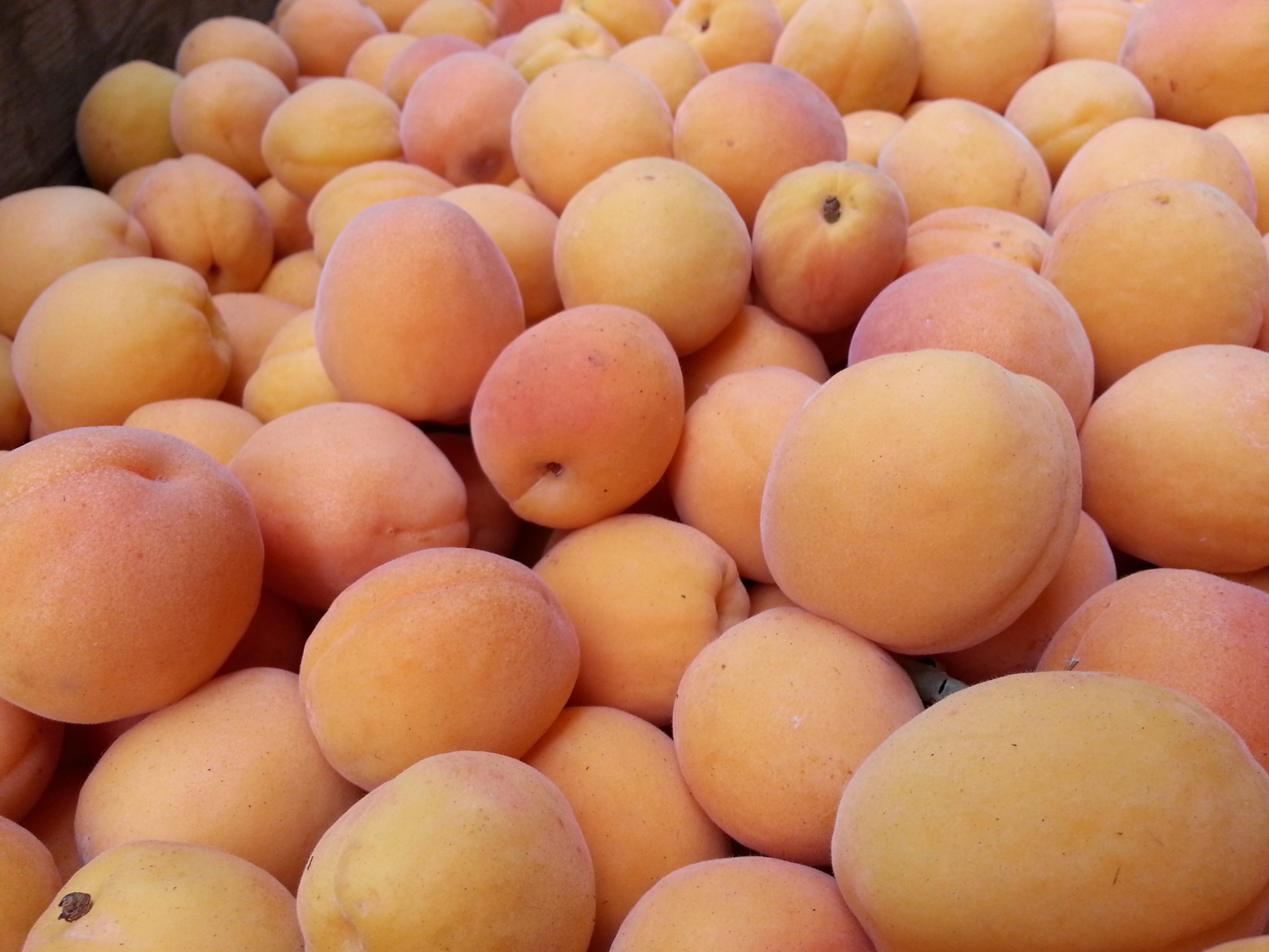 Помытые абрикосы