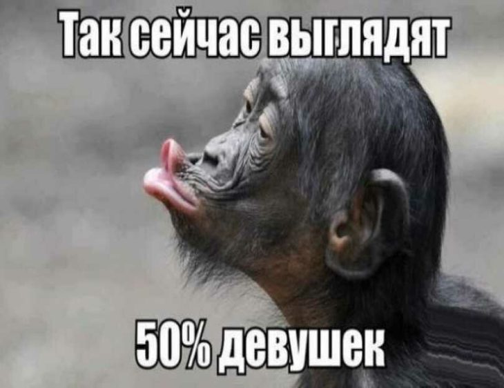Смешная картинка с обезьяной