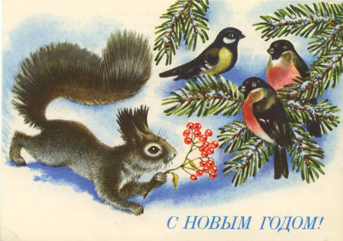 советская открытка 60 годов