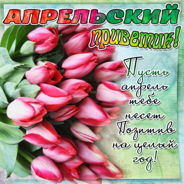 Чудесная открытка с розовыми тюльпанами
